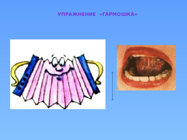 Упражнение «гармошка» 