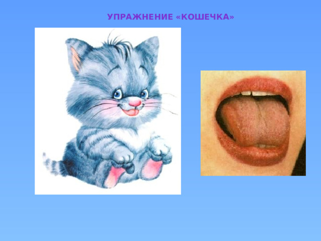 Упражнение «Кошечка» 