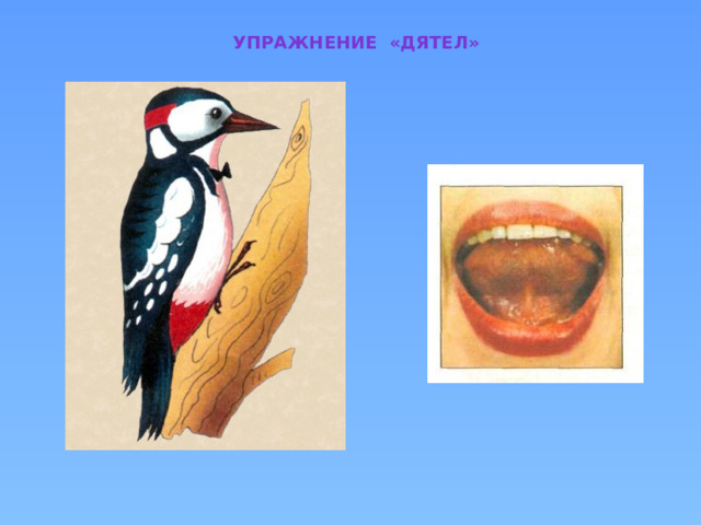 Упражнение «дятел» 