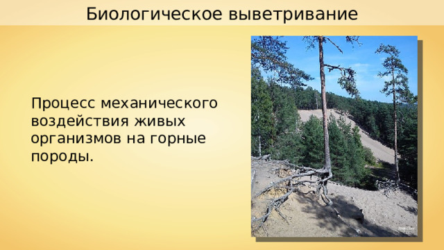 Биологическое выветривание Процесс механического воздействия живых организмов на горные породы. Alekc2m 