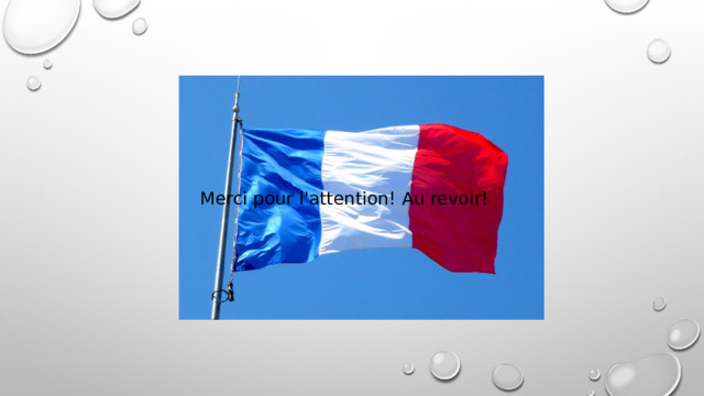Merci pour l'attention! Au revoir! 
