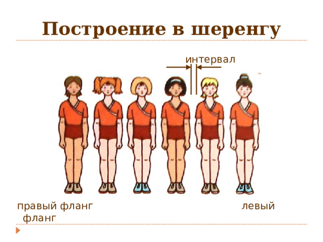 Построение в шеренгу  интервал  правый фланг левый фланг 