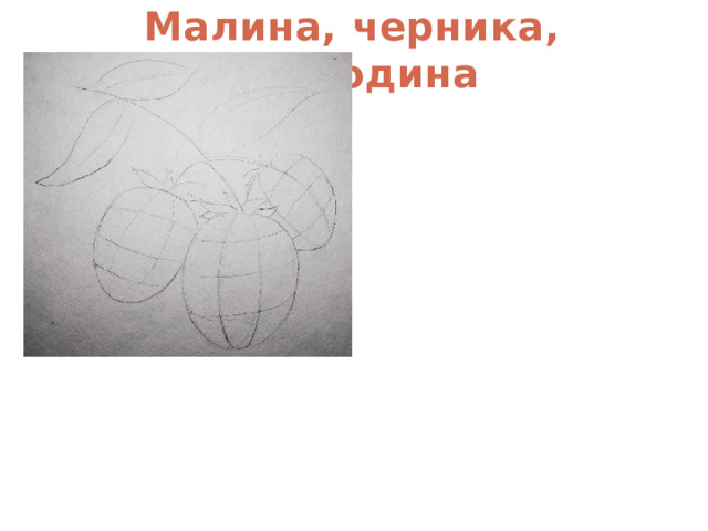 Малина, черника, смородина 