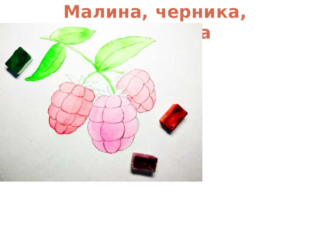 Малина, черника, смородина 