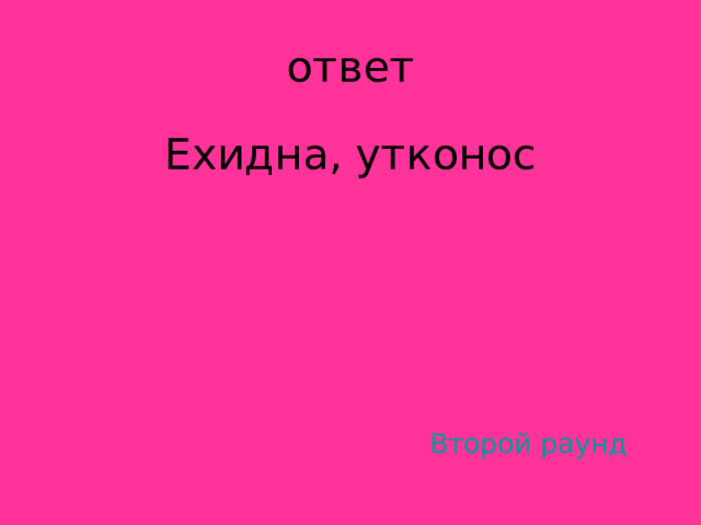 Ехидна, утконос Второй раунд 