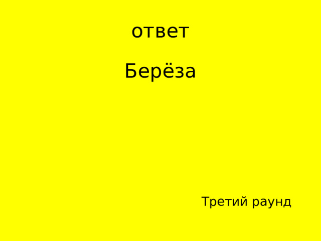Берёза Третий раунд 