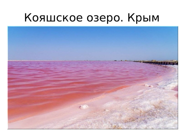 Кояшское озеро. Крым 