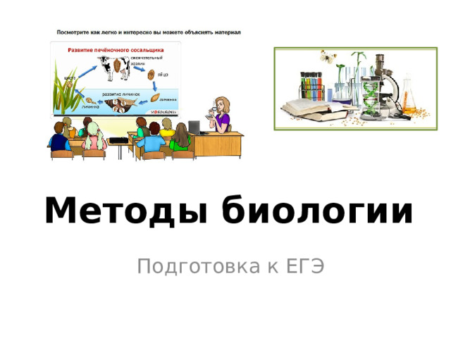 Методы биологии Подготовка к ЕГЭ 