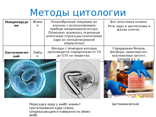 Методы цитологии Микрохирургии  Живые Цитохимический Разнообразные операции на клетках с использованием прибора микроманипулятора. Позволяет извлекать отдельные клеточные структуры (извлечение ядра из оплодотворенной яйцеклетки) Для получения клонов. Любые Методы с помощью которых производится определение от 10 до 0,01 мг вещества. Роль ядра и цитоплазмы в жизни клеток . Содержание белков, фосфора, аминокислот, нуклеиновых кислот, сахаров и т. д Цитохимический Пересадка ядер у амёб; момент проталкивания ядра сквозь соприкасающиеся поверхности обеих амёб. 