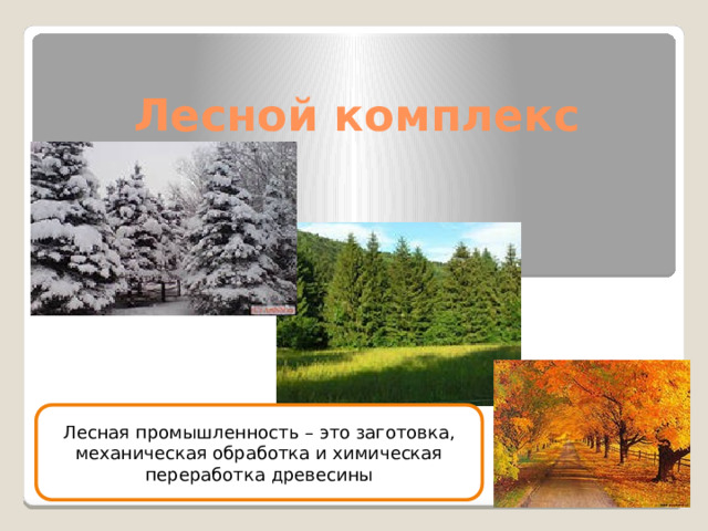 Лесной комплекс Лесная промышленность – это заготовка, механическая обработка и химическая переработка древесины 