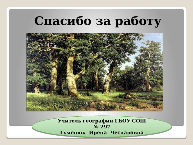 Спасибо за работу Учитель географии ГБОУ СОШ № 297 Гуменюк Ирена Чеславовна 