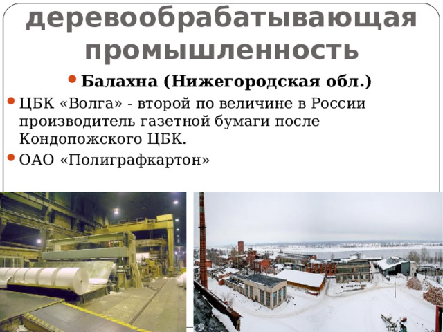 Лесная и деревообрабатывающая промышленность Балахна (Нижегородская обл.) ЦБК «Волга» - второй по величине в России производитель газетной бумаги после Кондопожского ЦБК. ОАО «Полиграфкартон» 