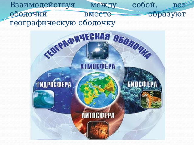 Взаимодействуя между собой, все оболочки вместе образуют географическую оболочку 