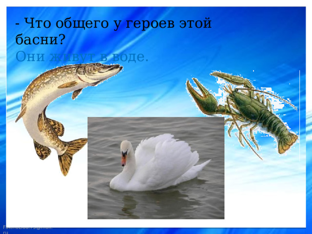- Что общего у героев этой басни? Они живут в воде. 
