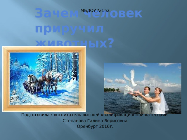 МБДОУ №152 Подготовила : воспитатель высшей квалификационной категории Степанова Галина Борисовна Оренбург 2016г. Зачем человек приручил животных? 