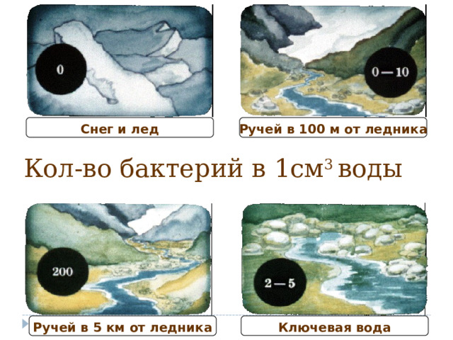 Снег и лед Ручей в 100 м от ледника Кол-во бактерий в 1см 3 воды Ручей в 5 км от ледника Ключевая вода 11 11 