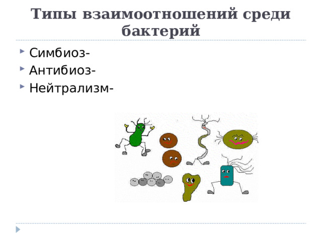 Типы взаимоотношений среди бактерий Симбиоз- Антибиоз- Нейтрализм- 
