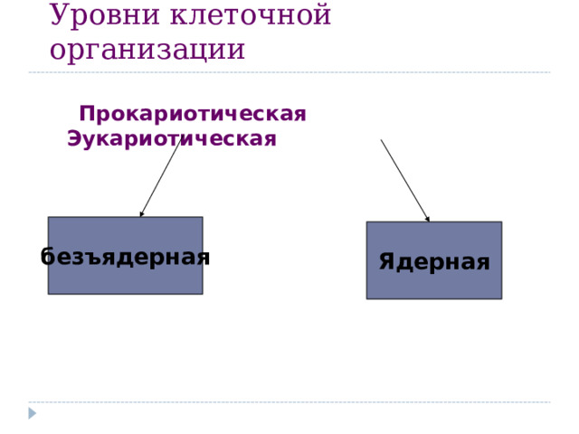 Уровни клеточной организации  Прокариотическая Эукариотическая безъядерная Ядерная 