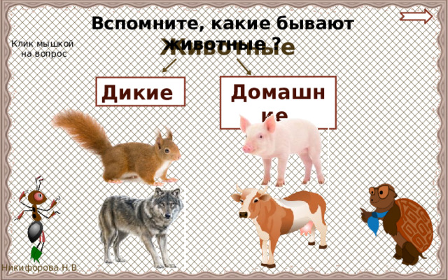 Вспомните, какие бывают животные ? Животные Клик мышкой  на вопрос Домашние Дикие 