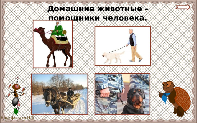 Домашние животные – помощники человека. 