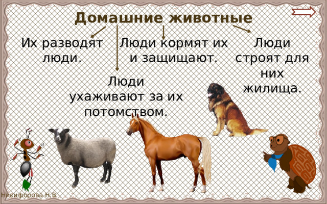 Домашние животные Их разводят люди. Люди кормят их и защищают. Люди строят для них жилища. Люди ухаживают за их потомством. 