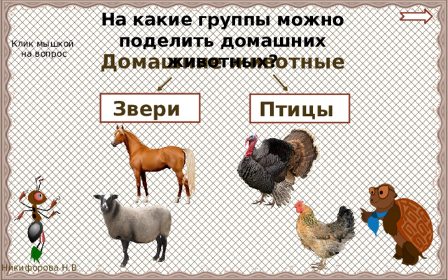 На какие группы можно поделить домашних животных? Клик мышкой  на вопрос Домашние животные Звери Птицы 