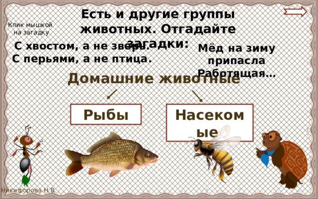 Есть и другие группы животных. Отгадайте загадки: Клик мышкой  на загадку С хвостом, а не зверь. С перьями, а не птица. Мёд на зиму припасла Работящая… Домашние животные Рыбы Насекомые 