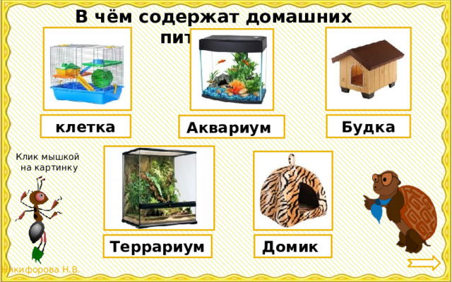 В чём содержат домашних питомцев? клетка Будка Аквариум Клик мышкой  на картинку Террариум Домик 