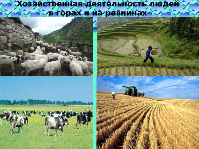 Хозяйственная деятельность людей в горах и на равнинах 