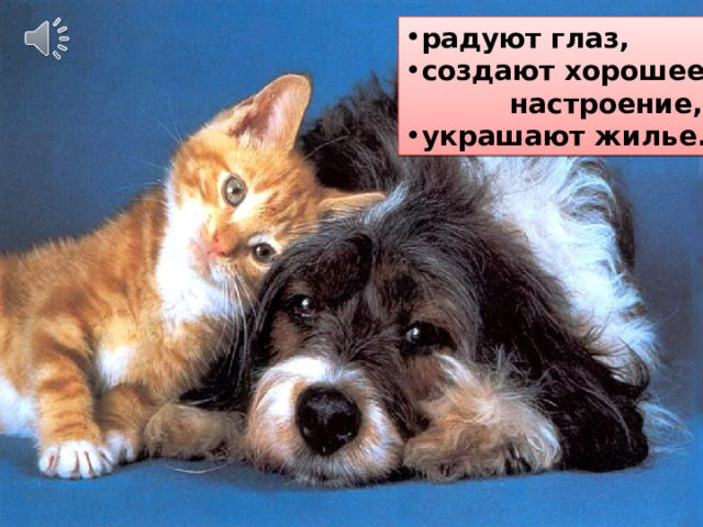 радуют глаз, создают хорошее  настроение, украшают жилье. Почему человек разводит дома домашних животных?  