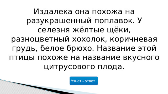 Издалека она похожа на разукрашенный поплавок. У селезня жёлтые щёки, разноцветный хохолок, коричневая грудь, белое брюхо. Название этой птицы похоже на название вкусного цитрусового плода. Узнать ответ  