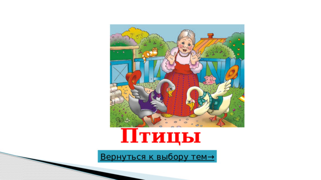 Птицы Вернуться к выбору тем→  