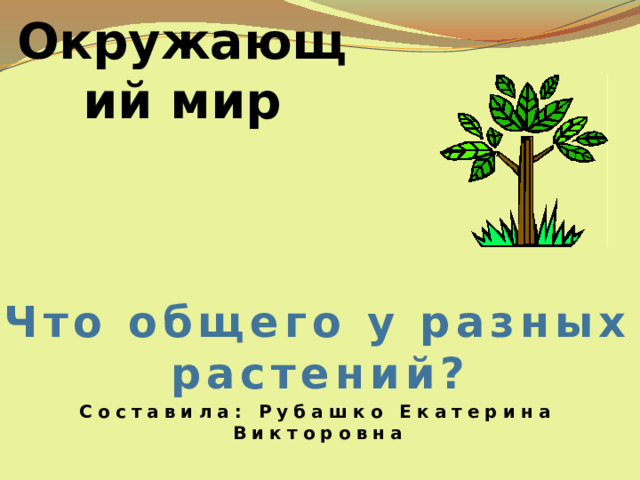Окружающий мир Что общего у разных растений? Составила: Рубашко Екатерина Викторовна 