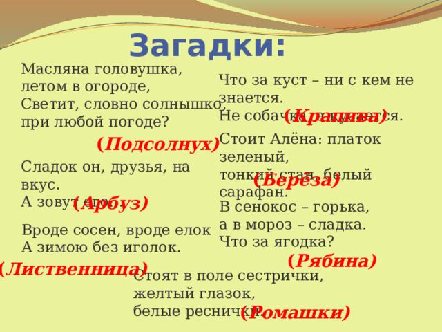 Загадки: Масляна головушка, летом в огороде,  Светит, словно солнышко, при любой погоде?  Что за куст – ни с кем не знается.  Не собачка, а кусается.  ( Крапива) Стоит Алёна: платок зеленый,  тонкий стан, белый сарафан.  ( Подсолнух) Сладок он, друзья, на вкус.  А зовут его…  ( Берёза) ( Арбуз) В сенокос – горька, а в мороз – сладка.  Что за ягодка? Вроде сосен, вроде елок  А зимою без иголок.  ( Рябина) ( Лиственница) Стоят в поле сестрички, желтый глазок, белые реснички.  ( Ромашки) 