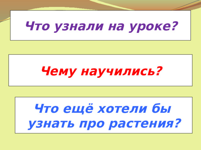 Что узнали на уроке? Чему научились? Что ещё хотели бы узнать про растения? 