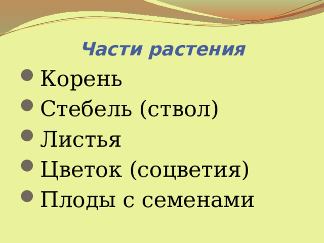 Части растения   Корень Стебель (ствол) Листья Цветок (соцветия) Плоды с семенами 