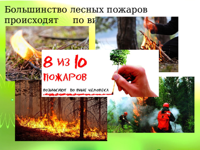 Большинство лесных пожаров происходят по вине человека. 