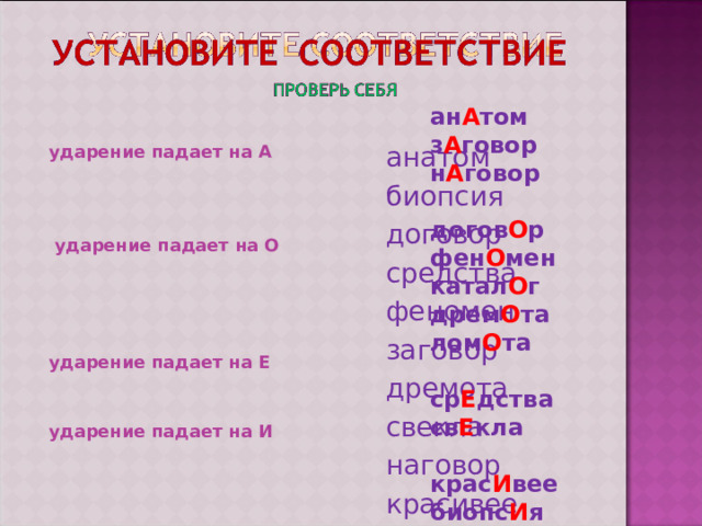 ан А том з А говор н А говор  догов О р фен О мен катал О г дрем О та лом О та  ср Е дства св Е кла  крас И вее биопс И я   ударение падает на А     ударение падает на О     ударение падает на Е   ударение падает на И   анатом биопсия договор средства феномен заговор дремота свекла наговор красивее 