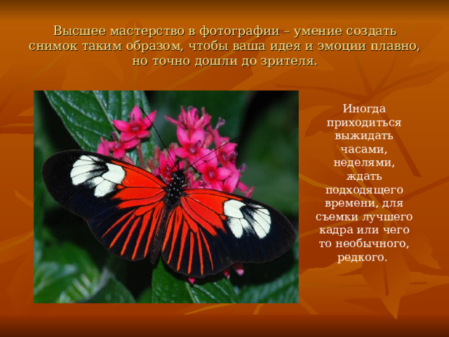 Высшее мастерство в фотографии – умение создать снимок таким образом, чтобы ваша идея и эмоции плавно, но точно дошли до зрителя. Иногда приходиться выжидать часами, неделями, ждать подходящего времени, для съемки лучшего кадра или чего то необычного, редкого. 