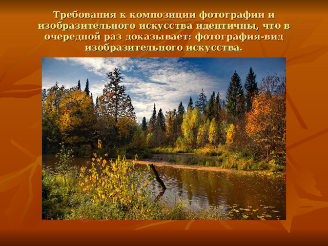 Требования к композиции фотографии и изобразительного искусства идентичны, что в очередной раз доказывает: фотография-вид изобразительного искусства. 