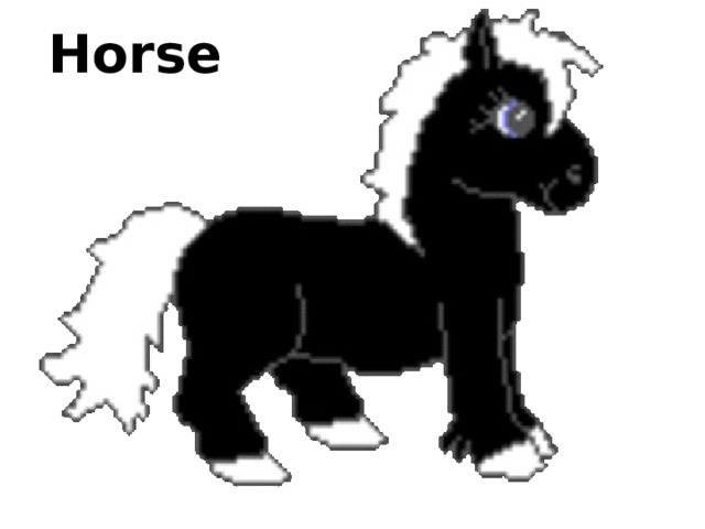 Horse 
