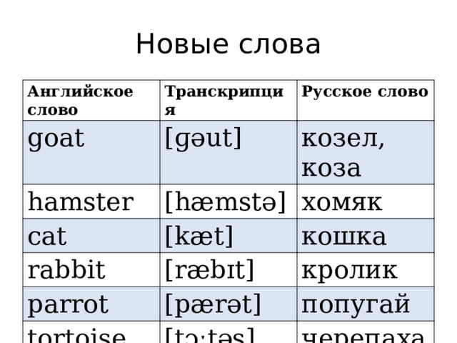 Новые слова Английское слово Транскрипция goat Русское слово [ɡəut] hamster [hæmstə] козел, коза cat rabbit [kæt] хомяк [ræbɪt] кошка parrot кролик [pærət] tortoise [tɔːtəs] попугай черепаха 
