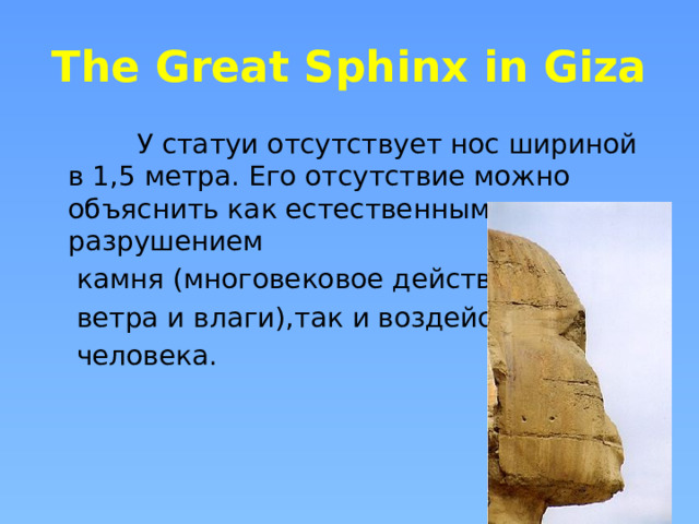 The Great Sphinx in Giza  У статуи отсутствует нос шириной в 1,5 метра. Его отсутствие можно объяснить как естественным разрушением  камня (многовековое действие  ветра и влаги),так и воздействием  человека.  