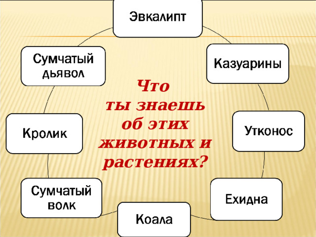 Что ты знаешь об этих животных и растениях? 