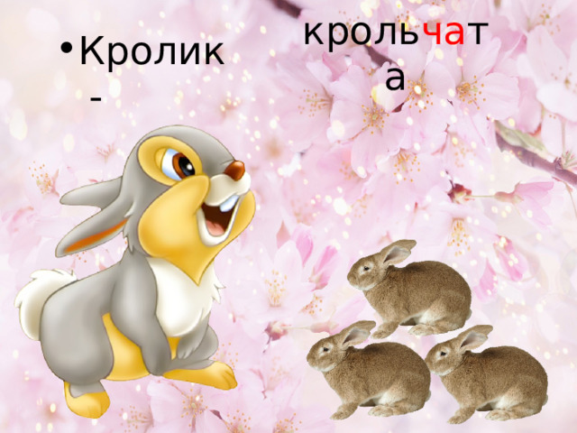 Кролик - кроль ча та 