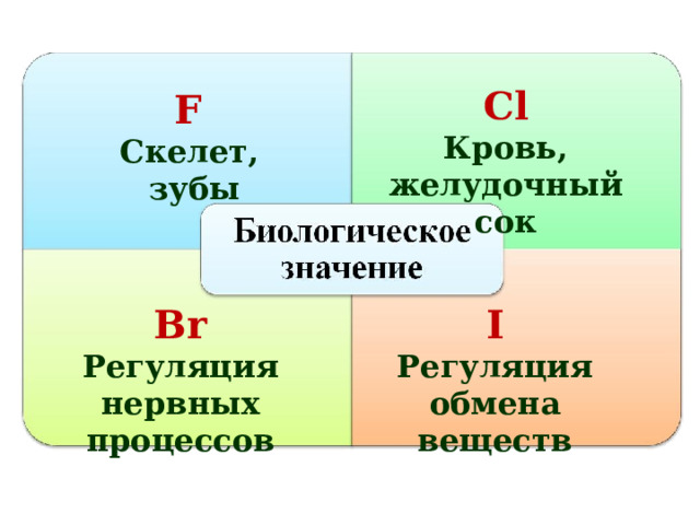 С l Кровь, желудочный сок  F  Скелет, зубы  Br I Регуляция нервных процессов  Регуляция обмена веществ  36 