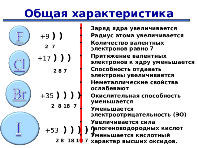Общая характеристика Заряд ядра увеличивается Радиус атома увеличивается Количество валентных электронов равно 7 Притяжение валентных электронов к ядру уменьшается Способность отдавать электроны увеличивается Неметаллические свойства ослабевают Окислительная способность уменьшается Уменьшается электроотрицательность (ЭО) Увеличивается сила галогеноводородных кислот Уменьшается кислотный характер высших оксидов.    + 9  ) )       2 7  +17 ) ) )    2 8 7      + 35  ) ) ) )    2  8 18 7  + 53   ) ) ) ) )  2 8 18 18 7  