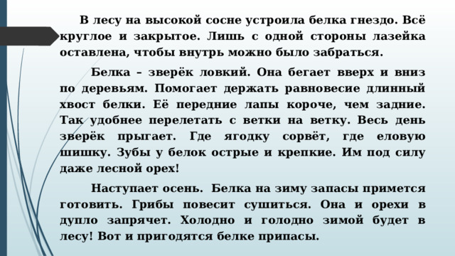           В лесу на высокой сосне устроила белка гнездо. Всё круглое и закрытое. Лишь с одной стороны лазейка оставлена, чтобы внутрь можно было забраться.          Белка – зверёк ловкий. Она бегает вверх и вниз по деревьям. Помогает держать равновесие длинный хвост белки. Её передние лапы короче, чем задние. Так удобнее перелетать с ветки на ветку. Весь день зверёк прыгает. Где ягодку сорвёт, где еловую шишку. Зубы у белок острые и крепкие. Им под силу даже лесной орех!          Наступает осень.  Белка на зиму запасы примется готовить. Грибы повесит сушиться. Она и орехи в дупло запрячет. Холодно и голодно зимой будет в лесу! Вот и пригодятся белке припасы.  