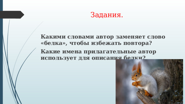 Задания. Какими словами автор заменяет слово «белка», чтобы избежать повтора? Какие имена прилагательные автор использует для описания белки? 
