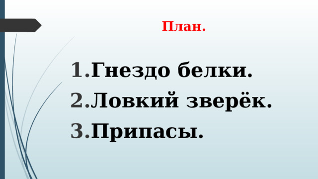 План. Гнездо белки. Ловкий зверёк. Припасы. 